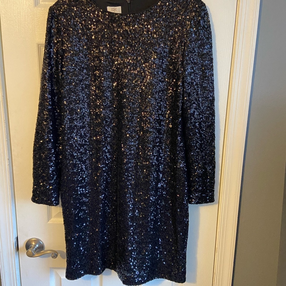 Beautiful sequin dress